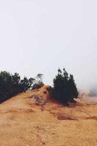 StorySeeker