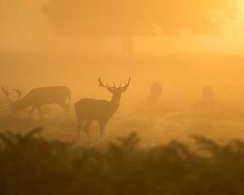 The Download: next-gen nuclear, and the data center backlash