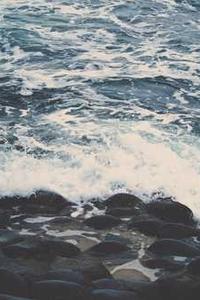 Dr. Fiona McAllister